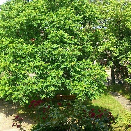 Marinas Guesthouse Kobuleti ภายนอก รูปภาพ